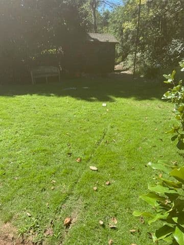 Gallery photos for Transforming Spaces with a Permeable Patio: Image #3