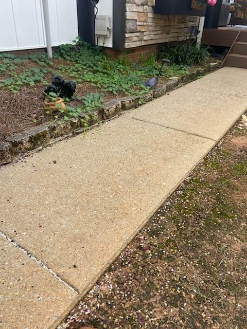 Elevate Your Garden with Stylish Retaining Walls